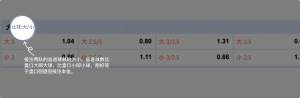足球博彩:BV SPORTS足球投注技巧和规则 10 betting_5